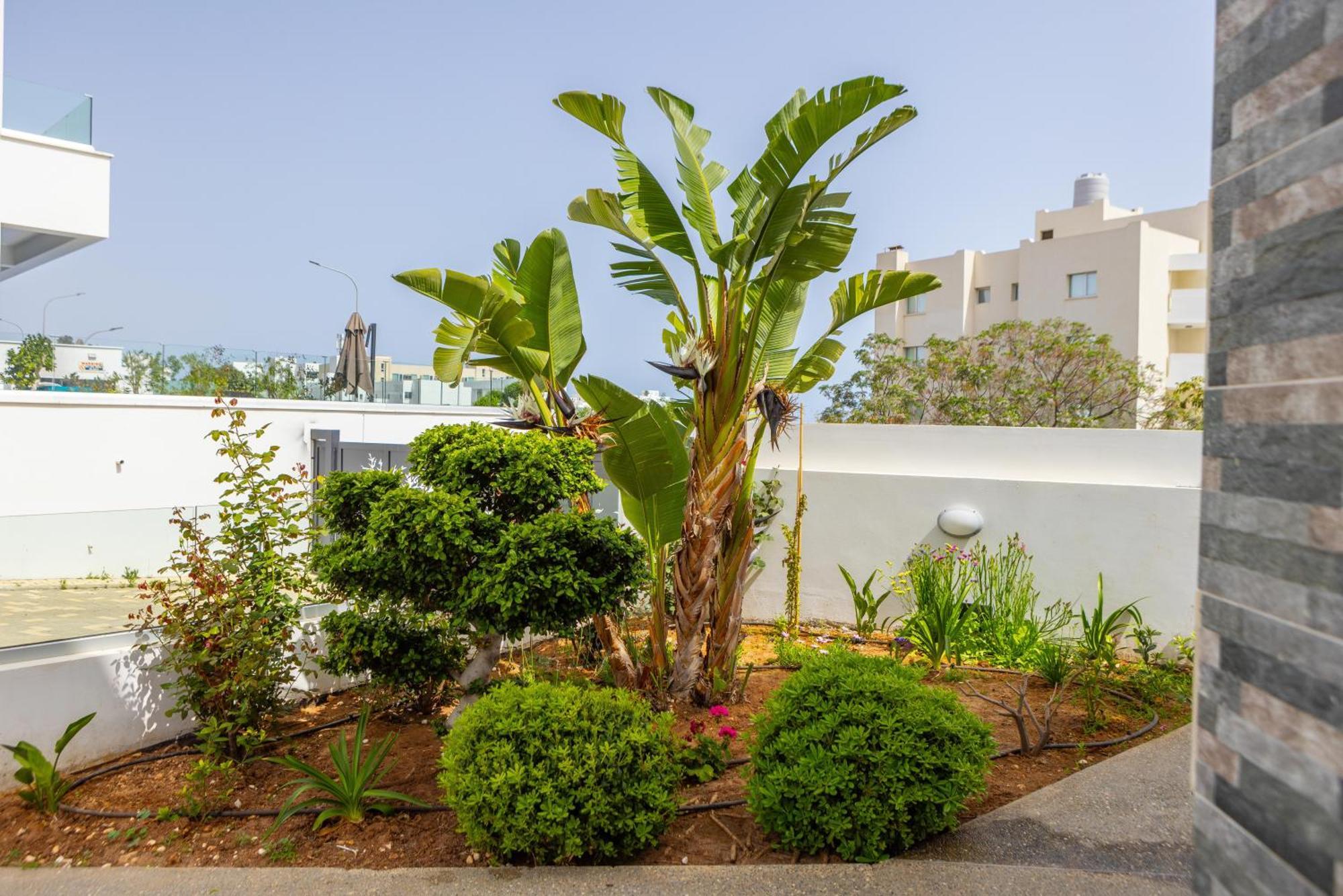 Fig Tree Bay Residences 5 Протарас Екстериор снимка
